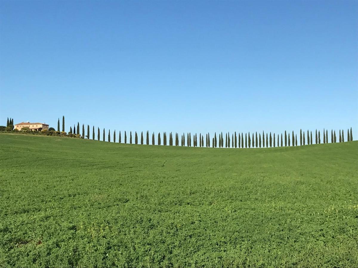 Grove Cottage: Immersed In Nature & Close To Town Città della Pieve Buitenkant foto