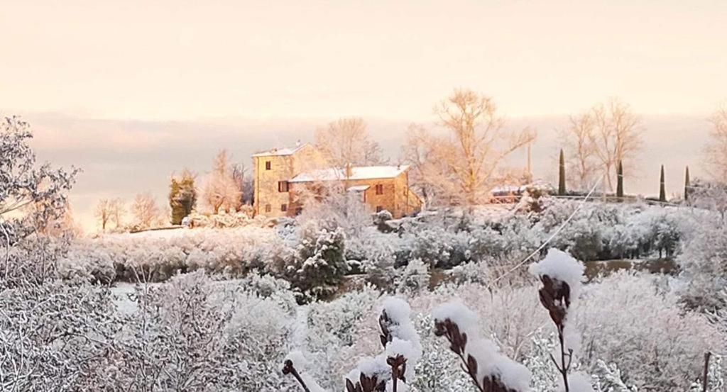 Grove Cottage: Immersed In Nature & Close To Town Città della Pieve Buitenkant foto