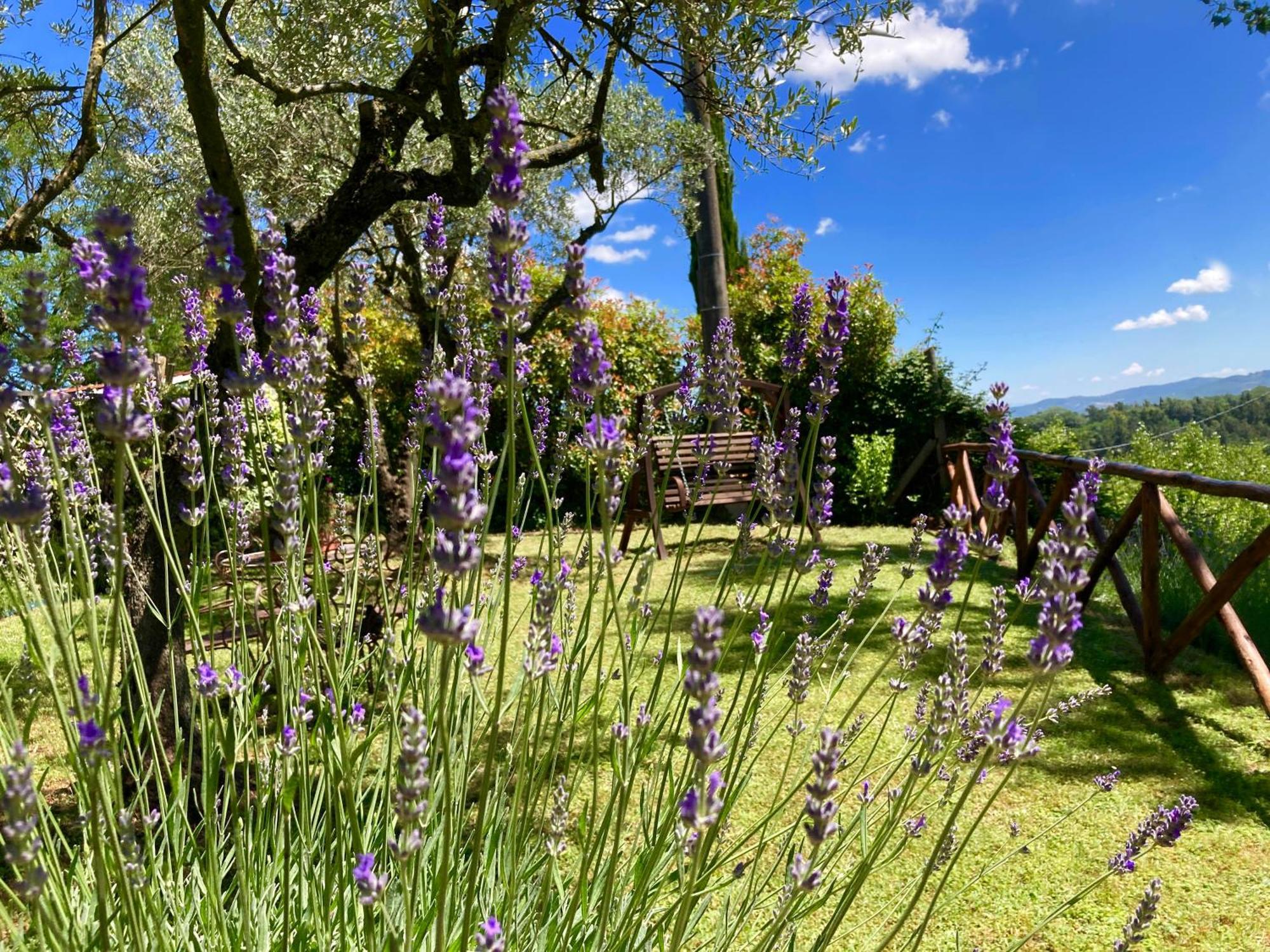 Grove Cottage: Immersed In Nature & Close To Town Città della Pieve Buitenkant foto